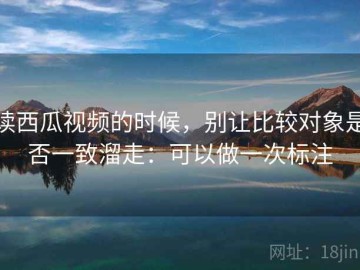 读西瓜视频的时候，别让比较对象是否一致溜走：可以做一次标注