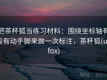 把茶杯狐当练习材料：围绕坐标轴有没有动手脚来做一次标注，茶杯狐(upfox)