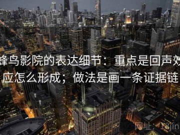 蜂鸟影院的表达细节：重点是回声效应怎么形成；做法是画一条证据链